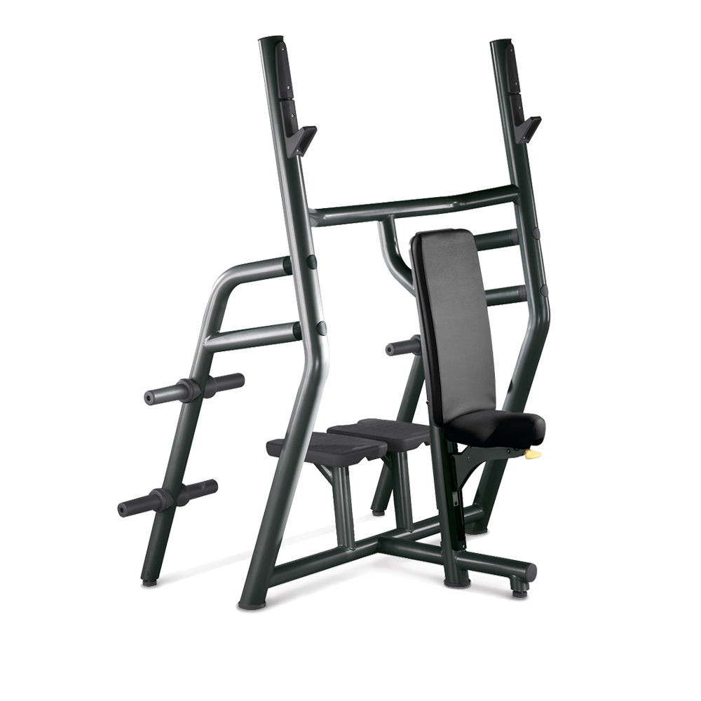 Vertical Workout Bench 