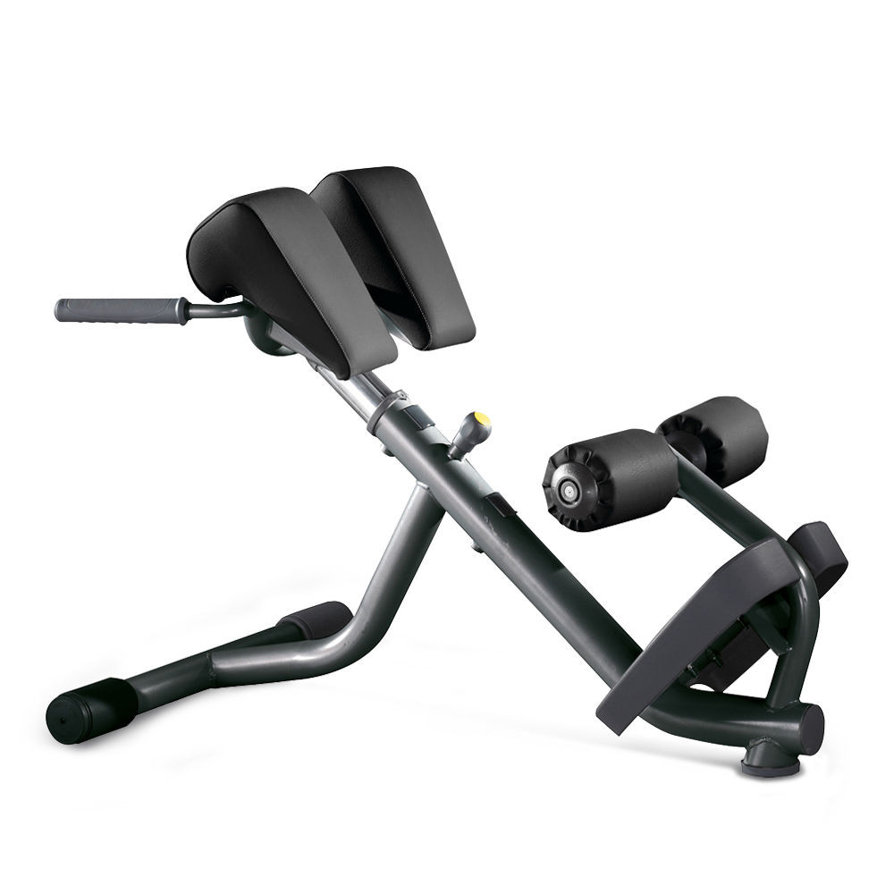 Скамья Lower Back Exercise Bench